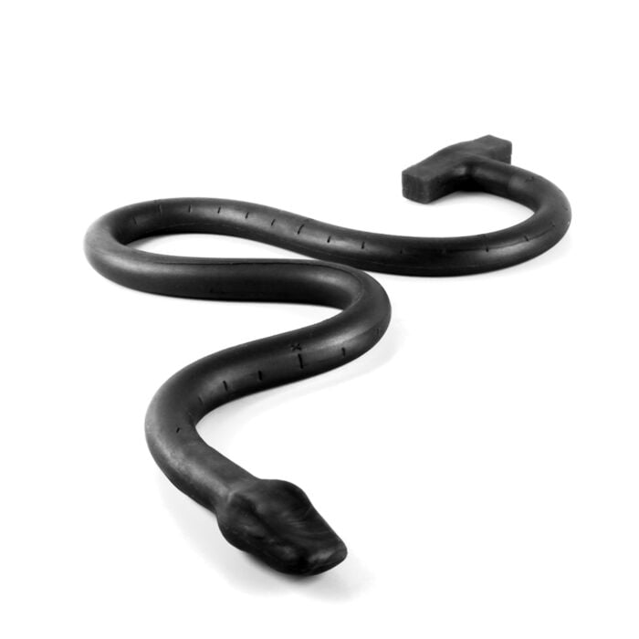 Basilisk Anal Colon Snake