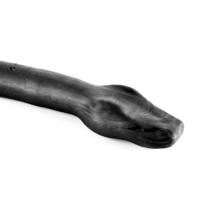 Basilisk Anal Colon Snake