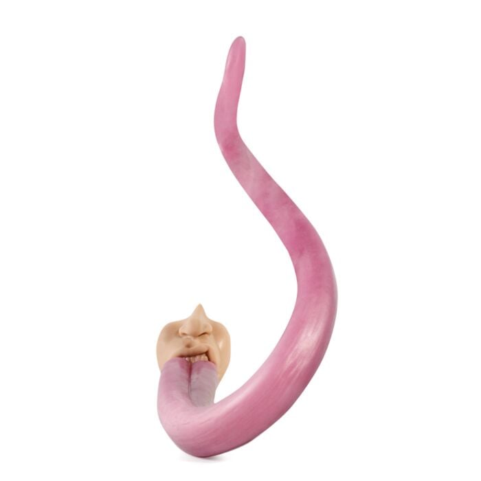Licker Depth Training Dildo