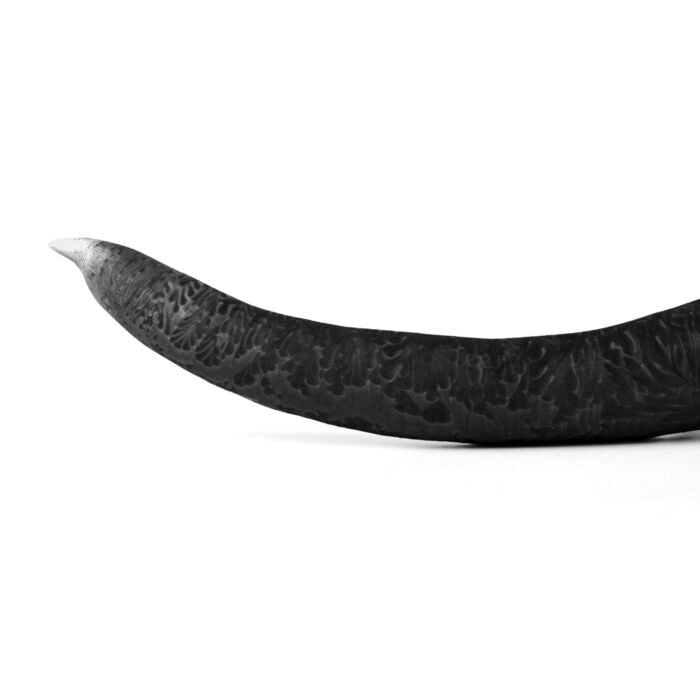 Rex Dog Tail Butt Plug